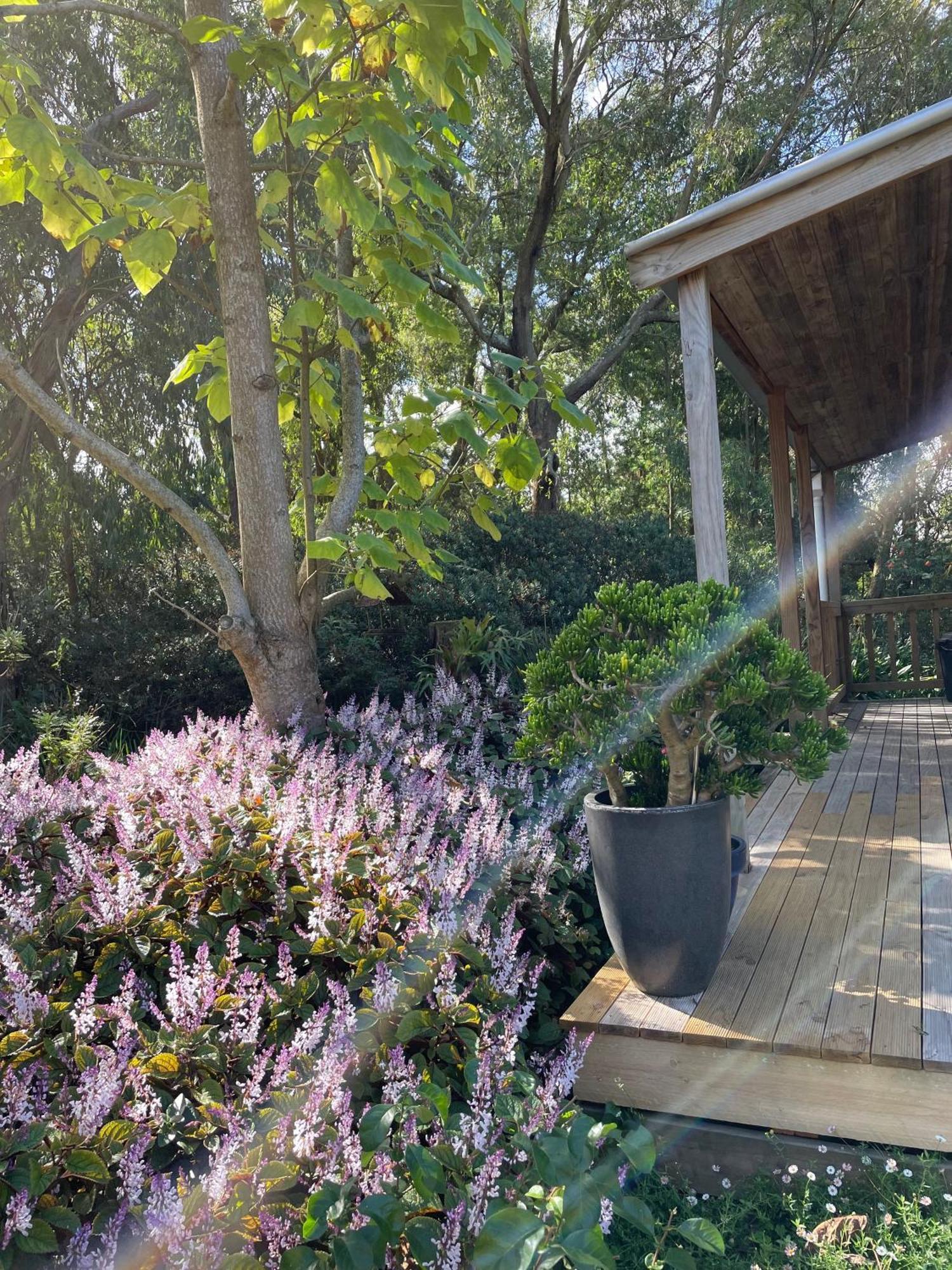 Tindoona Cottages Foster Dış mekan fotoğraf