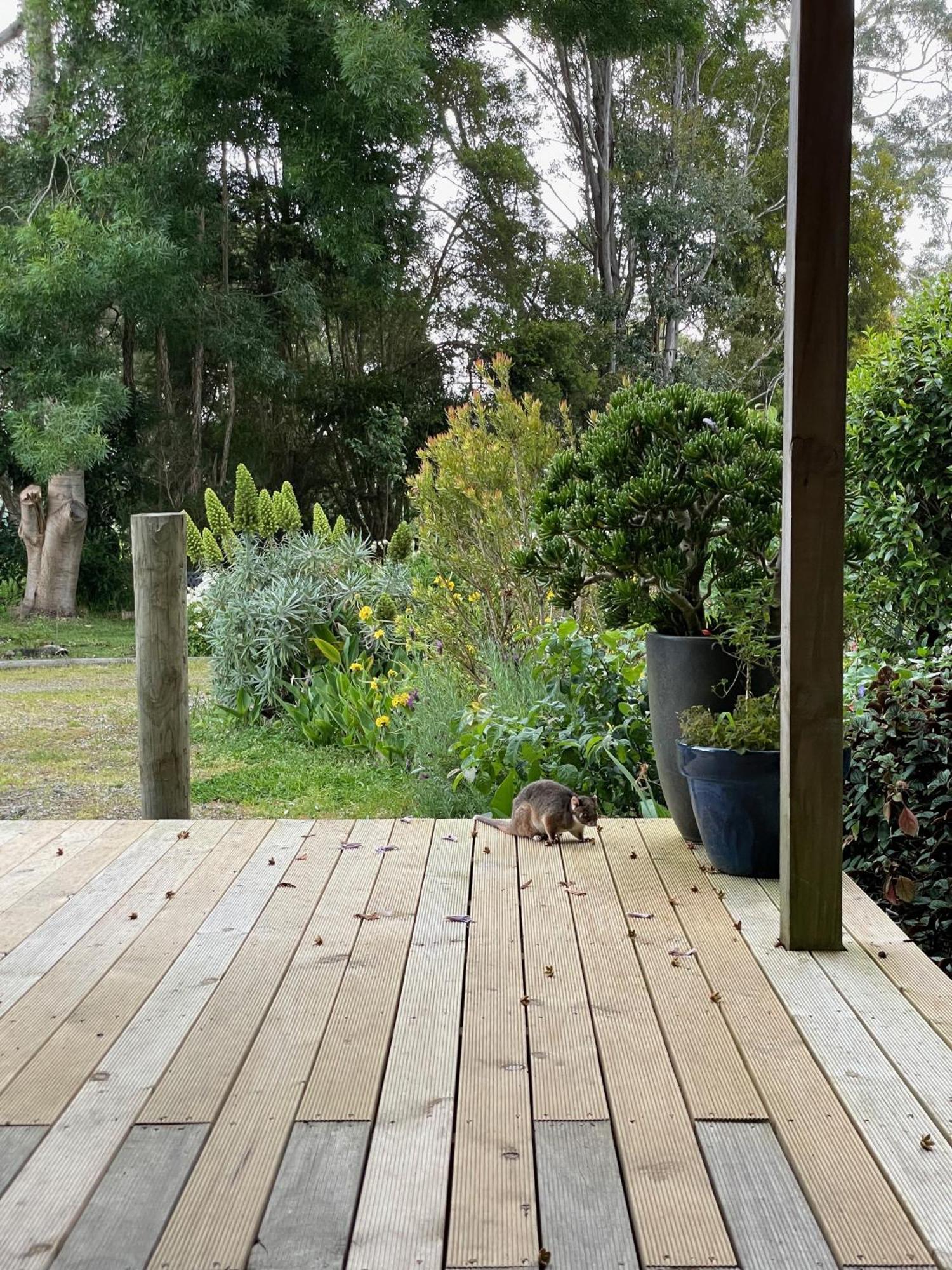 Tindoona Cottages Foster Dış mekan fotoğraf